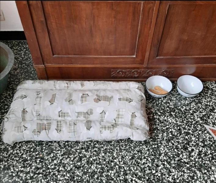 Ferienwohnung La Tana Dei Conigli Serra Rocco Exterior foto