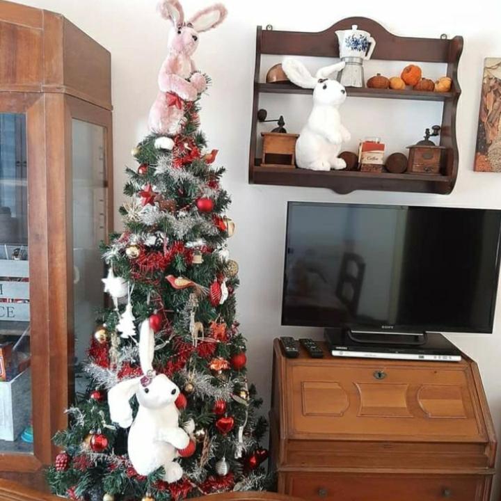 Ferienwohnung La Tana Dei Conigli Serra Rocco Exterior foto