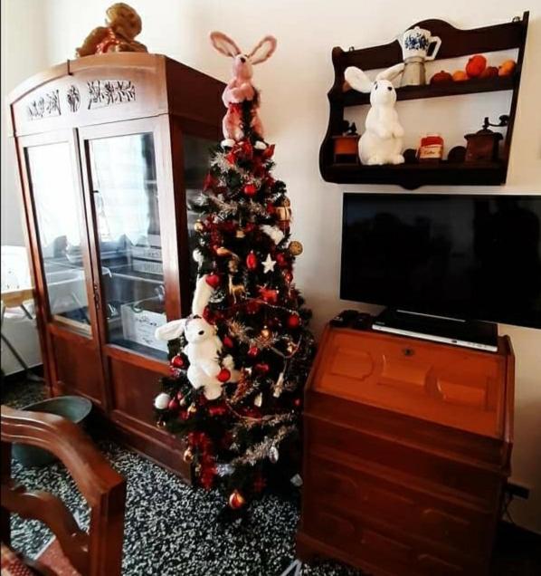 Ferienwohnung La Tana Dei Conigli Serra Rocco Exterior foto